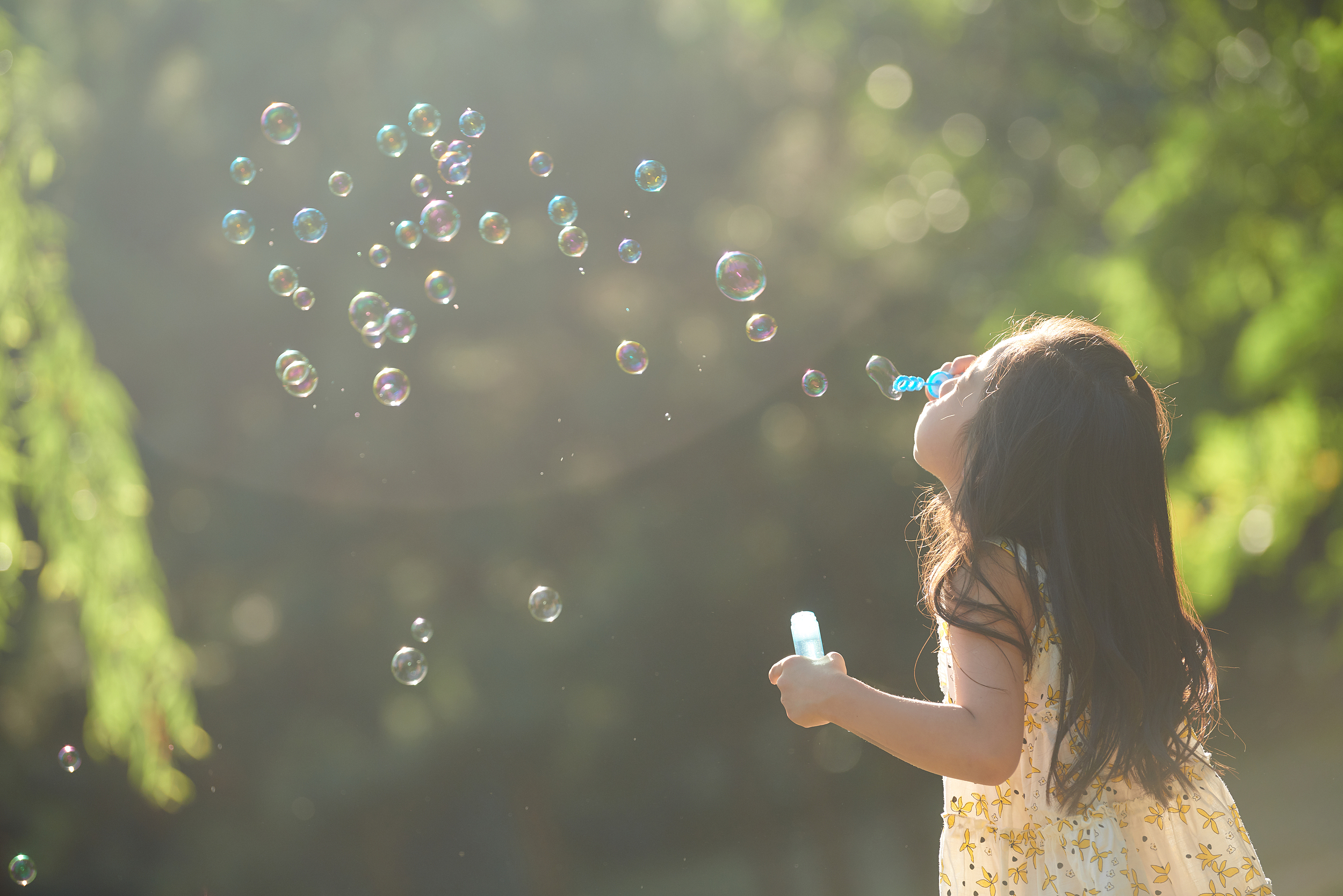 课题研究、咨询服务